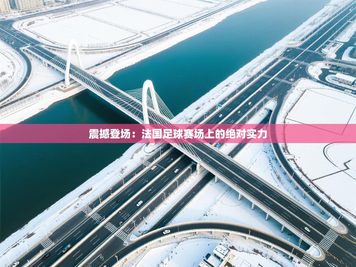 震撼登场：法国足球赛场上的绝对实力  第1张
