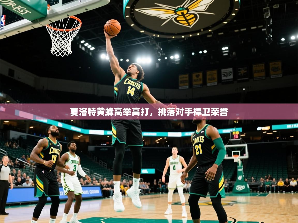 夏洛特黄蜂高举高打,挑落对手捍卫荣誉 第1张
