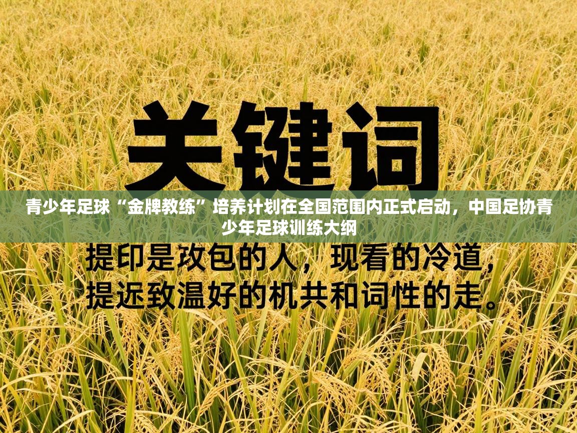 青少年足球“金牌教练”培养计划在全国范围内正式启动,中国足协青少年足球训练大纲 第2张
